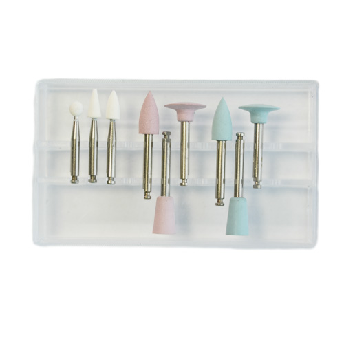 Dental Polishing Kit